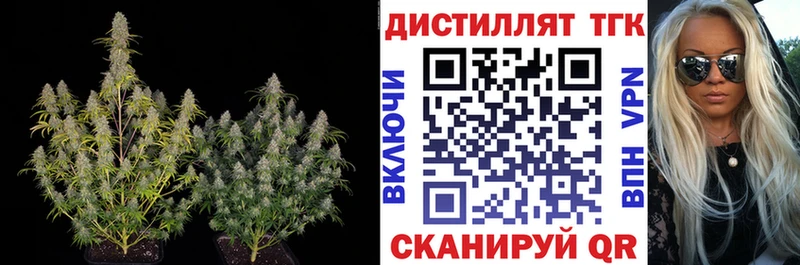 купить  цена  Княгинино  ТГК жижа 