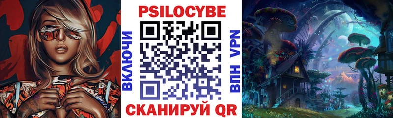 Галлюциногенные грибы Psilocybine cubensis  купить наркоту  Княгинино 
